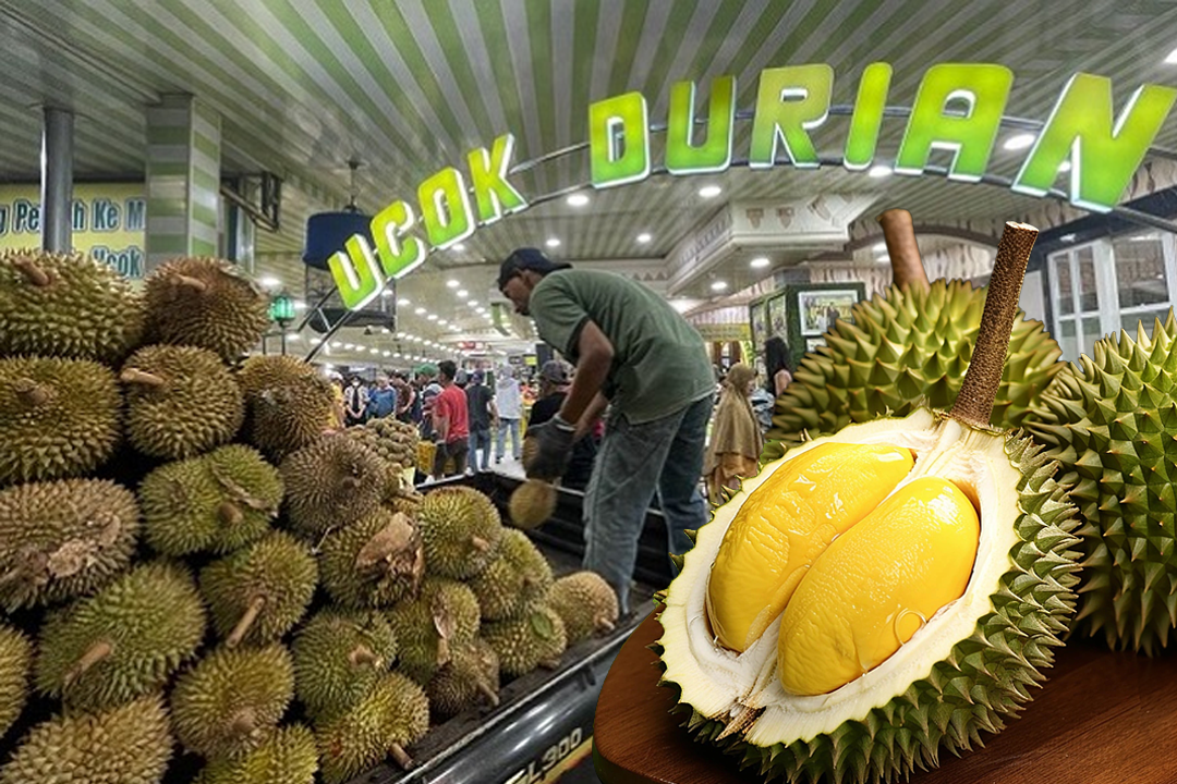 Peluang Usaha Ucok Durian, Ikon Kuliner Medan